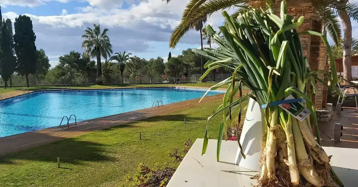 Piscine Camping Vilanova Park