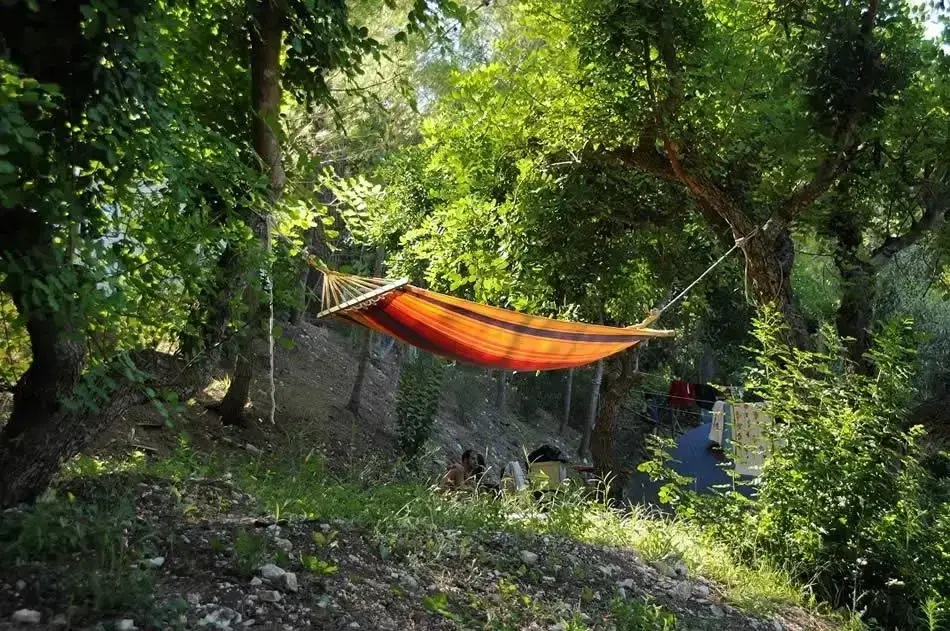 Camping Villaggio Internazionale