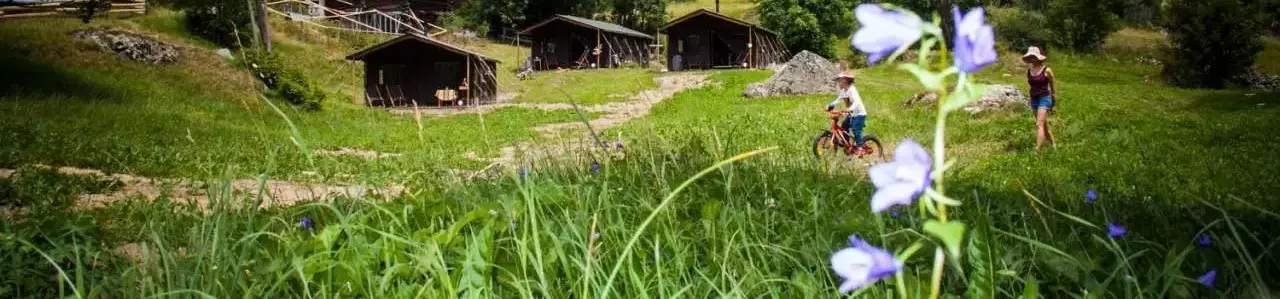 Safari Zelt Camping Wallis - FeatherDown