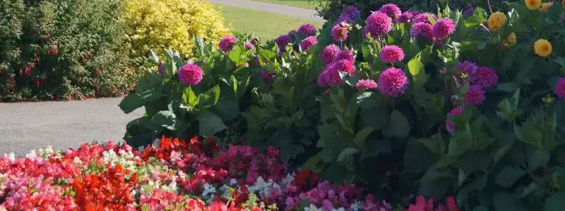 Generale Camping Webbers Farm Caravan Park