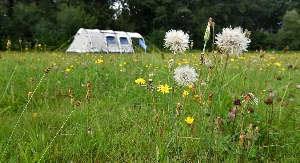Pohled Camping Wostra