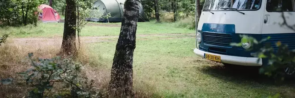 Tent Camping Zanderdennen - Staatsbosbeheer