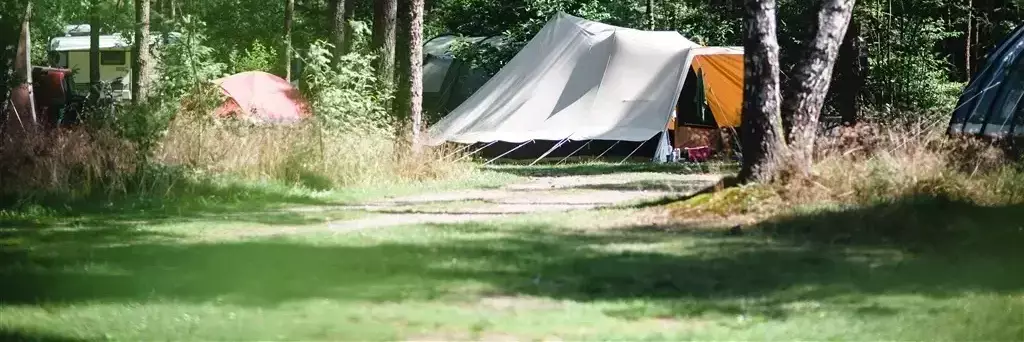 Tent Camping Zanderdennen - Staatsbosbeheer