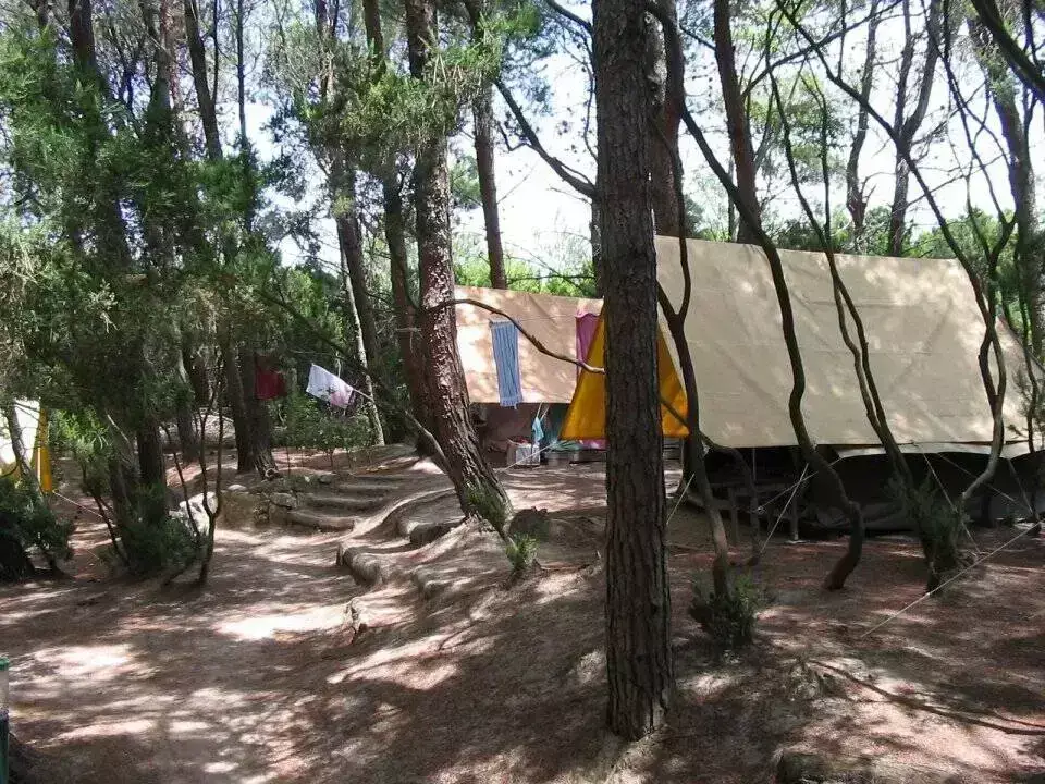 Stan Camping Zidine