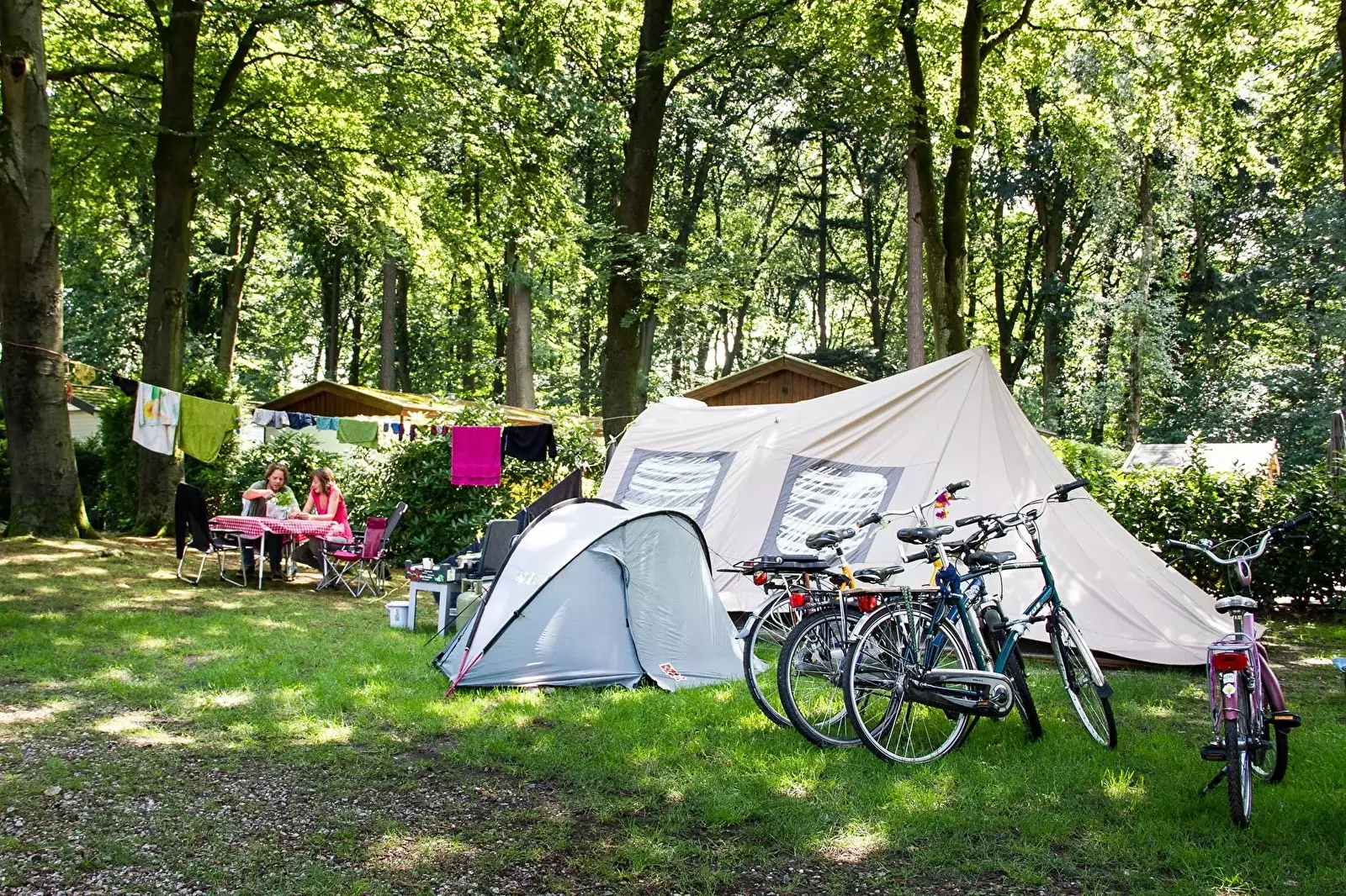 Tent Camping Zuid Ginkel