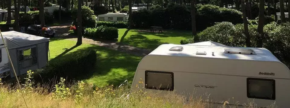 Uitzicht Camping Zuid Ginkel
