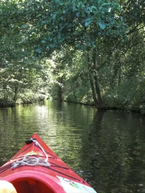 Vodní sporty Camping Zum Hexenwäldchen