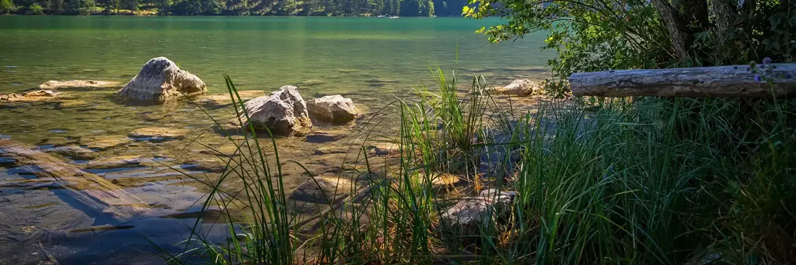 Plage Campingplatz Seebauer Gleinkersee