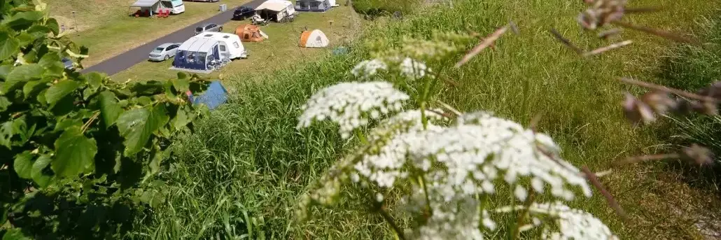 Pohled Charlottenlund Fort Camping