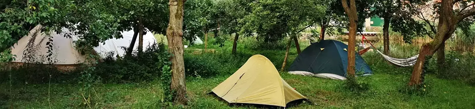 Pálya Coconat