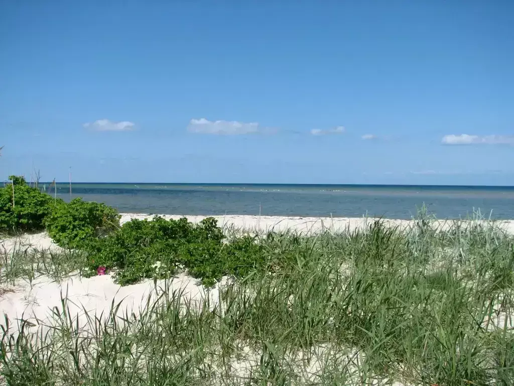 Beach Dalgård Camping