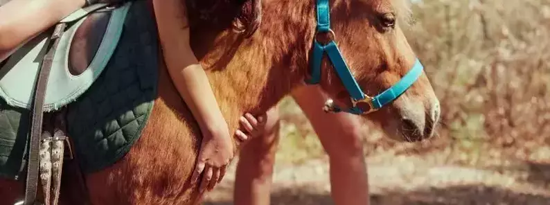 Montar en poni o a caballo De Kempervennen - Centerparcs