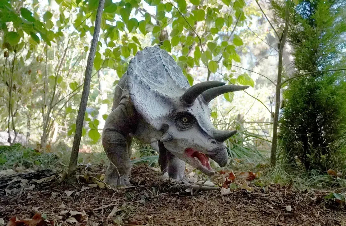 Obecné Dinopedia Parc Glamping