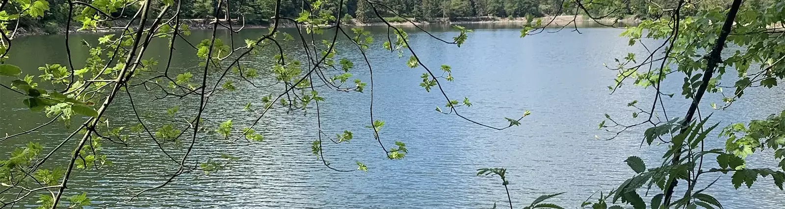 Lago Domaine du Haut des Bluches