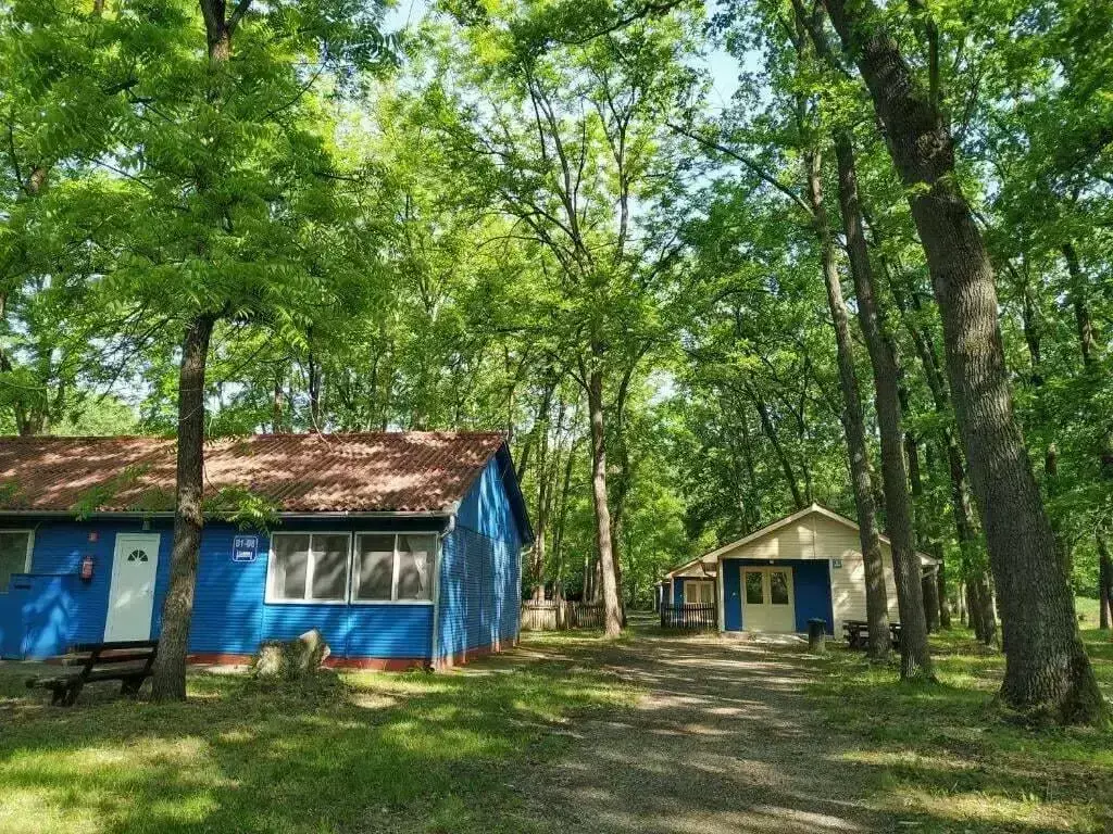 Chata - Rekreační dům Dorcas Center & Camping