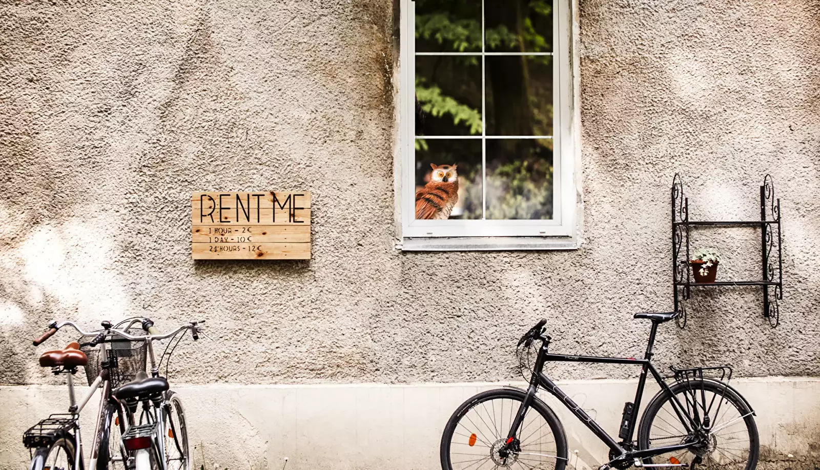 General Downtown Forest Hostel & Camping