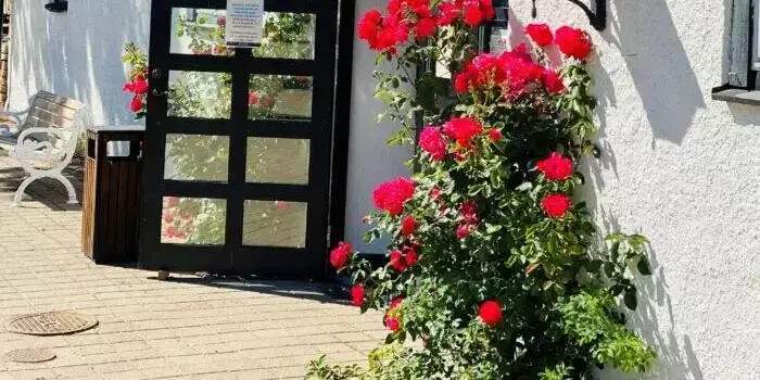 Kavárna restaurace bar Ekerum Resort öland