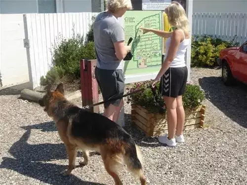 Obecné Ertebølle Strand Camping