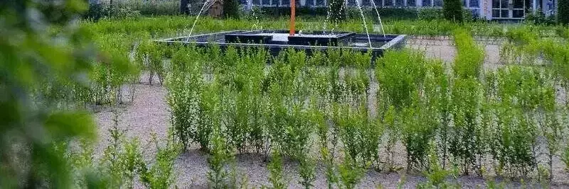 Vikendica - Kuća za odmor EuroParcs Kaatsheuvel