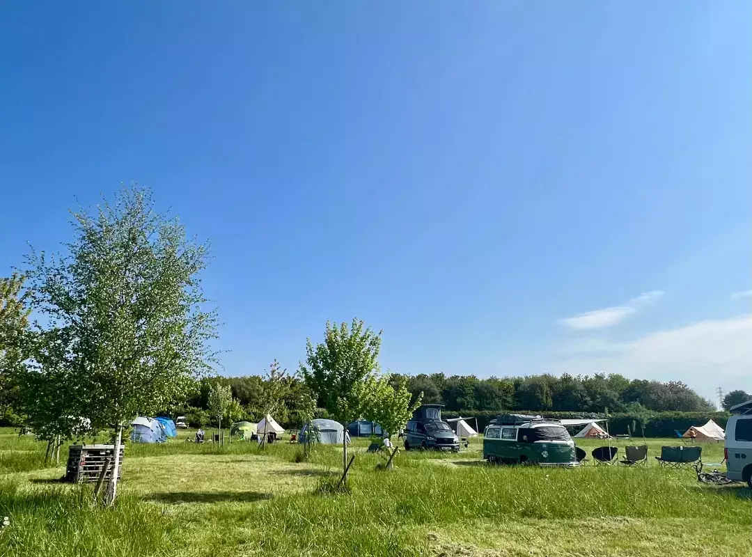 Overview Fallow Fields Camping at Selson Farm