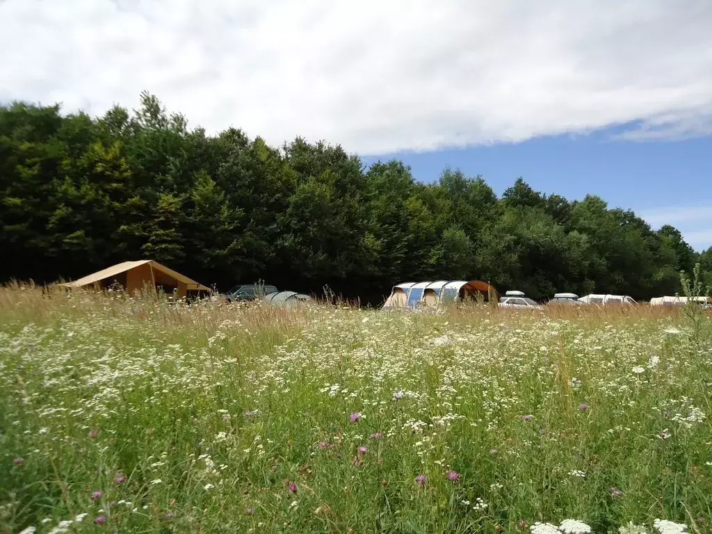 Tent Farm & Camping Lazy