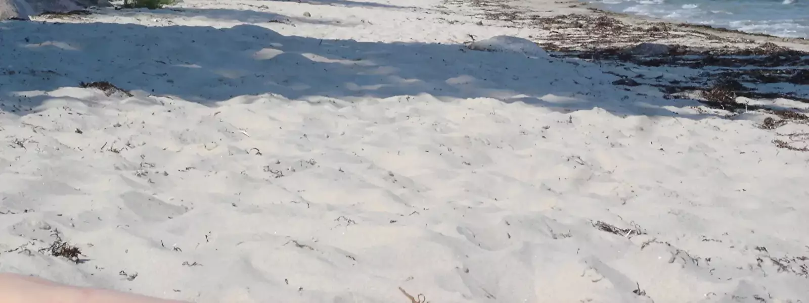 Pláž Feriebyens Camping