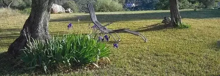 Panoramica Finca Lagarto