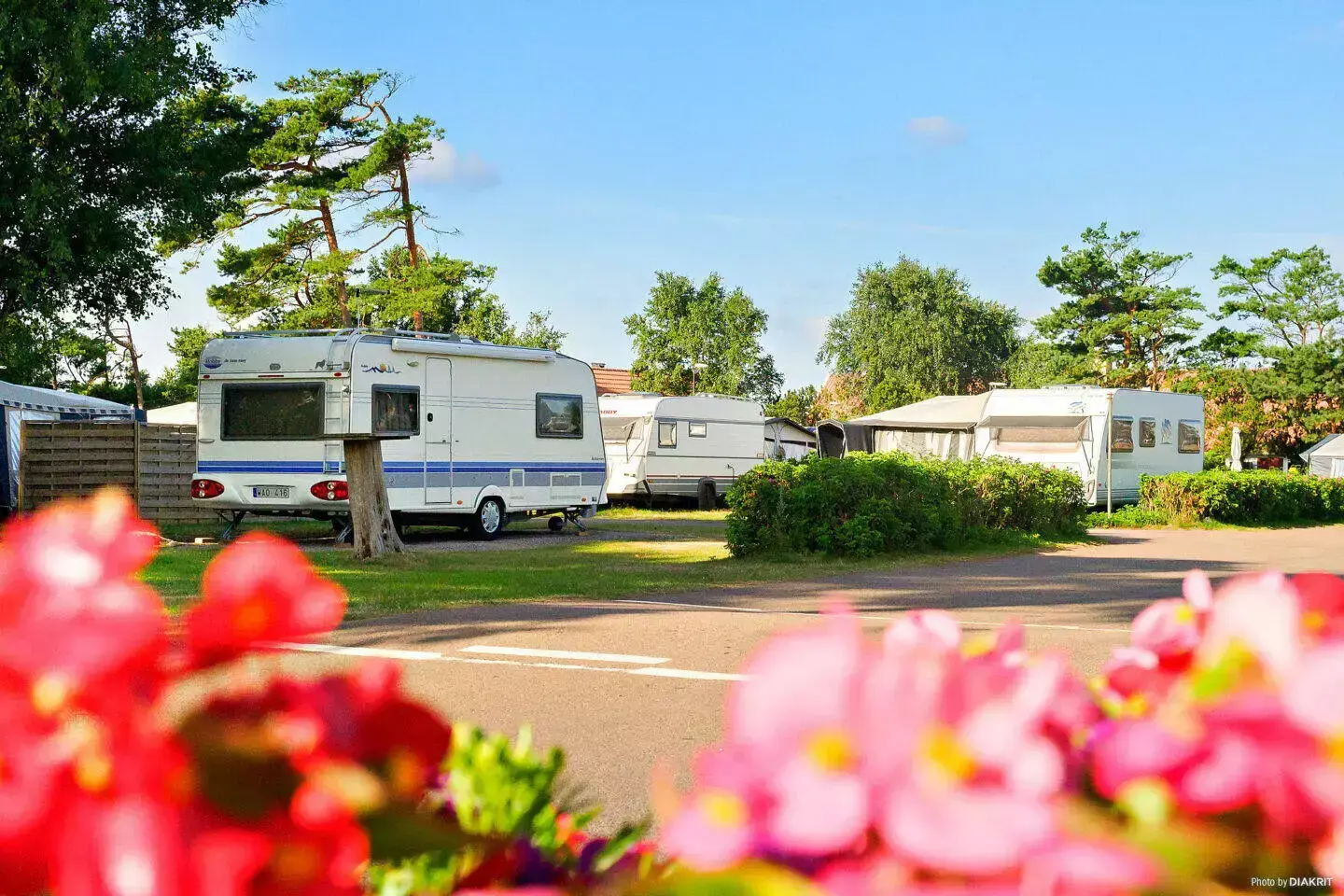 Pitch First Camp Tylösand – Halmstad