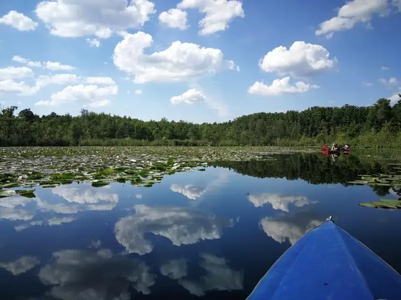 FKK Campingplatz am Rtzsee in Drosedow, Deutschland (2026) | Buchen Sie  Ihren Campingplatz auf JetCamp.com