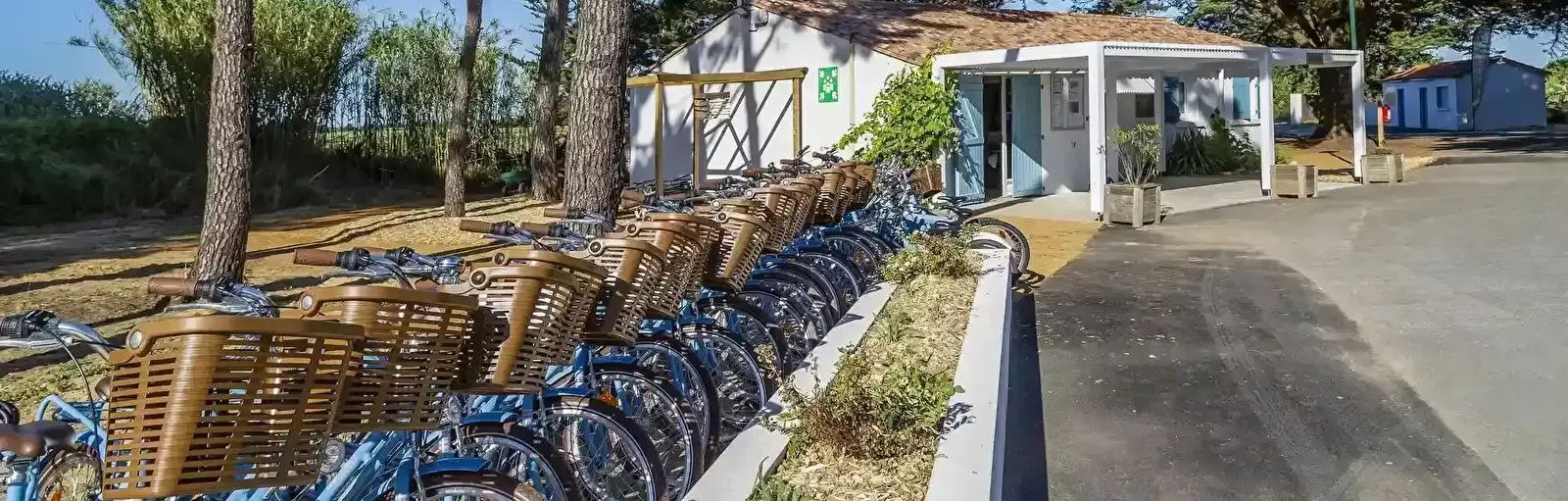 Noleggio biciclette Flower Camping Tamarins Plage