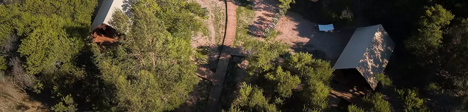 Overview Forest Glamp