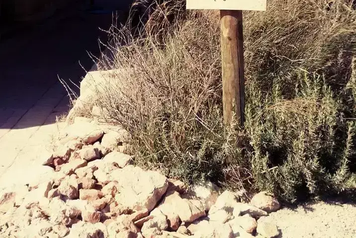 Em geral Ghajn Tuffieha Scout Campsite