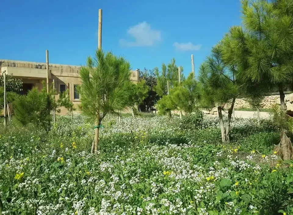 General Ghajn Tuffieha Scout Campsite