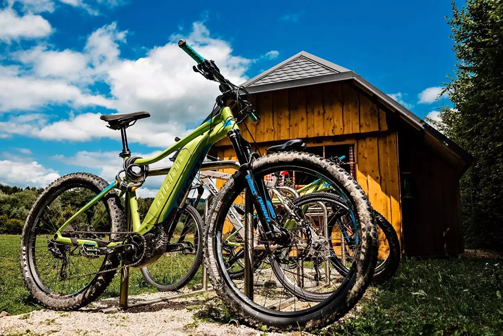 Sportovní Glamping Forest Edge