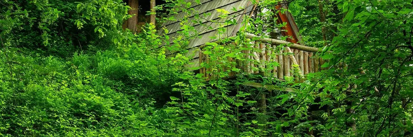 Chalet-Bungalow Glamping Savinja