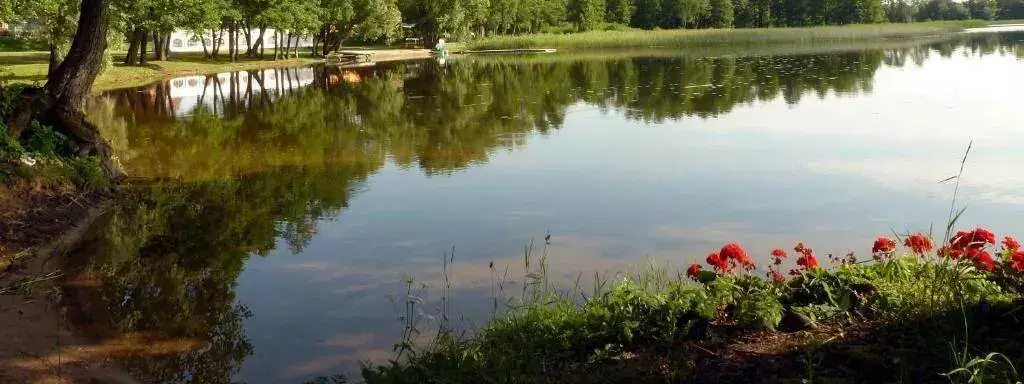Overview Gościniec Olecki Camping
