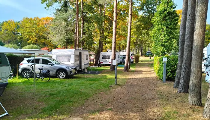 Het Swinnenbos.