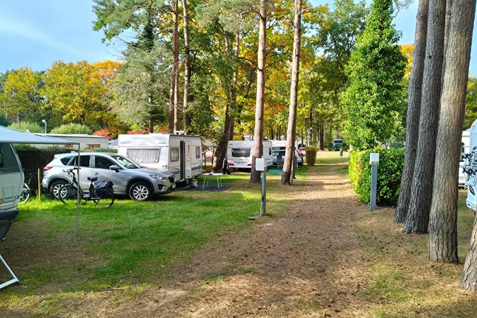 Het Swinnenbos