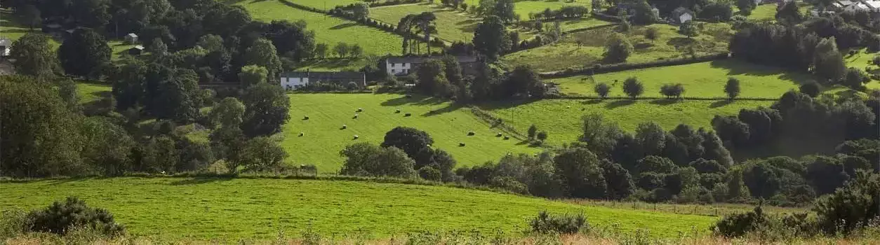 Overview Howbeck Lodge Farm - FeatherDown
