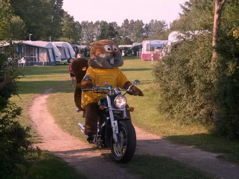 Stan Hummingen Camping