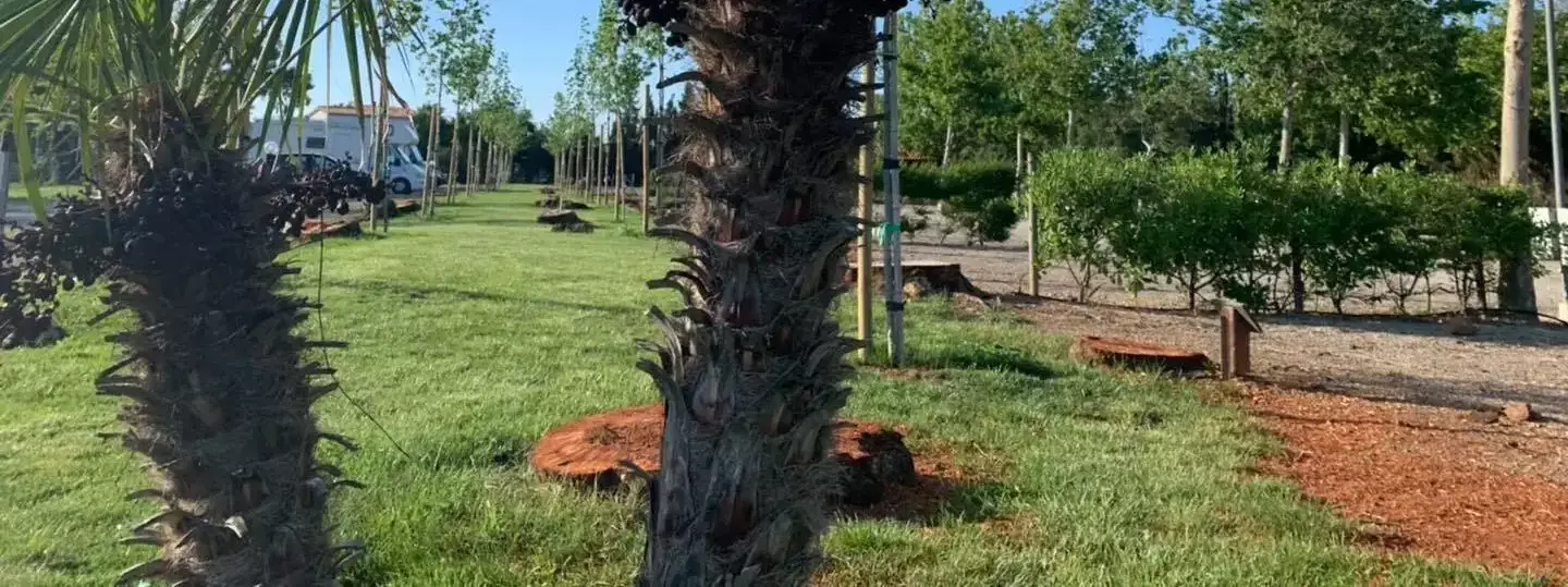 Miejsce I Platani Camper Area