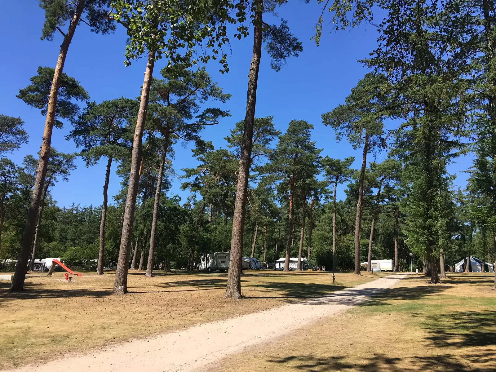Pogled Kampeerterrein De Zeven Linden