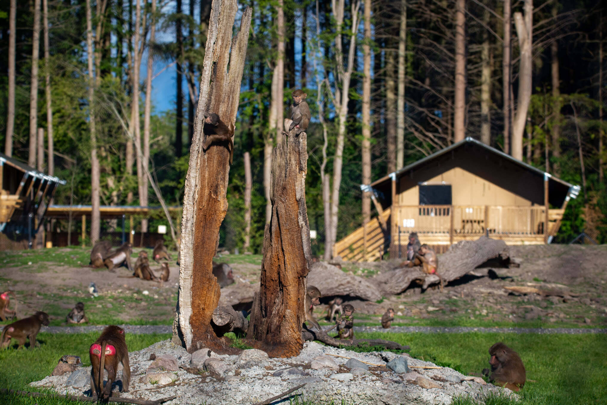 Camp in Maribo, Denemarken (2025) Alle campings op