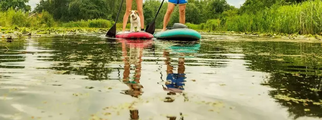 Watersports Landal De Reeuwijkse Plassen
