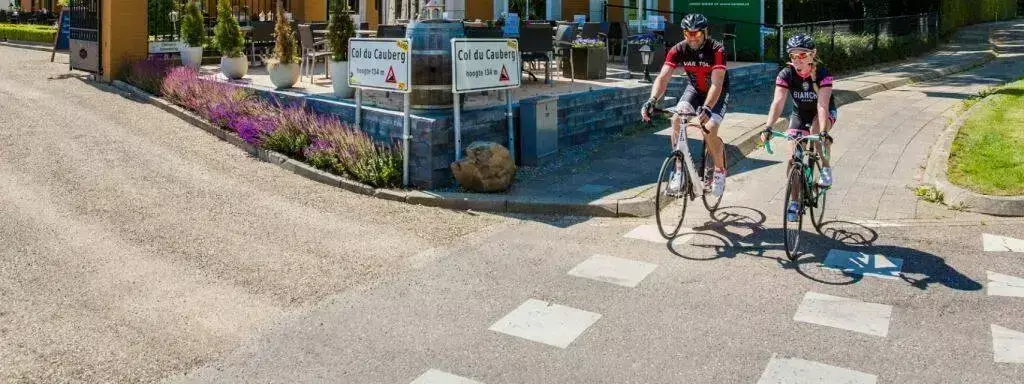 Location Landal Kasteeldomein de Cauberg