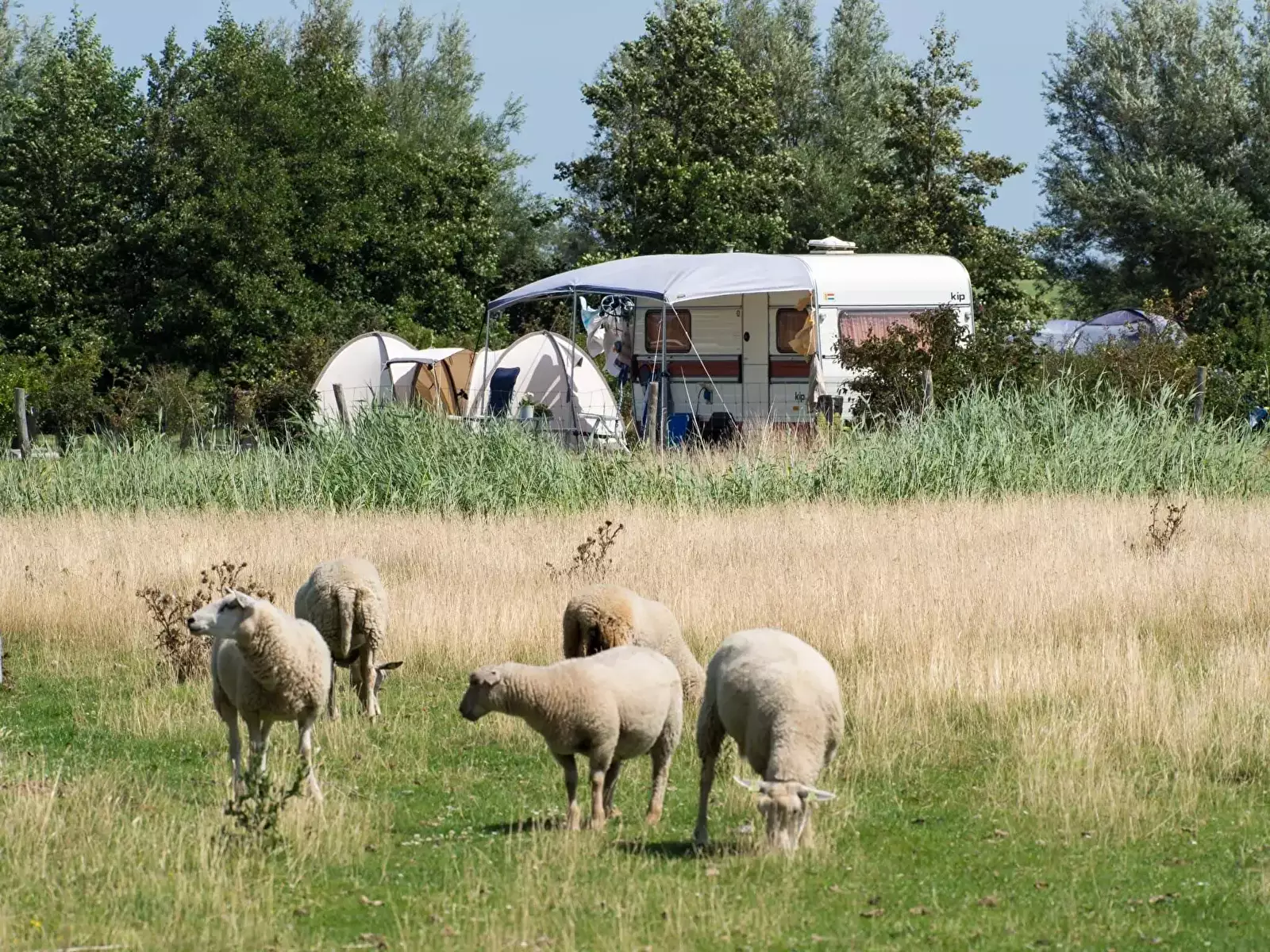 Pitch Landschapscamping Kijkuit