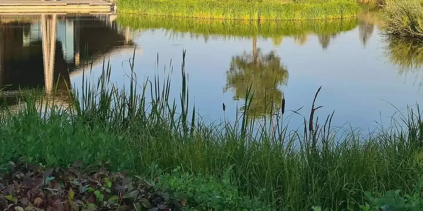 Platzplan Les Trois Forêts - Centerparcs 