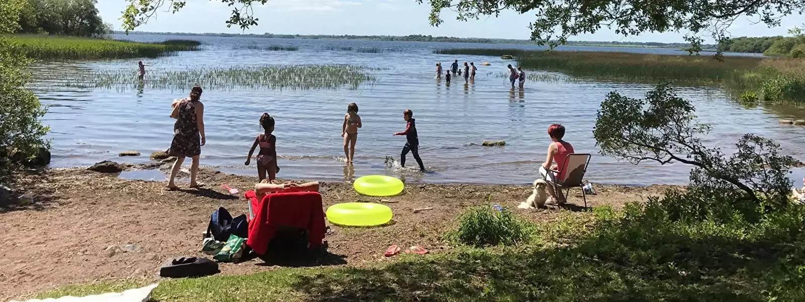 Beach Lough Ennell Caravan And Camping Park