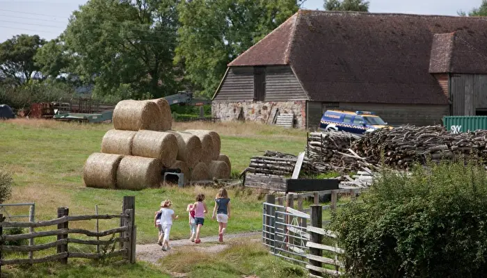 Lunsford Farm - Feather Down