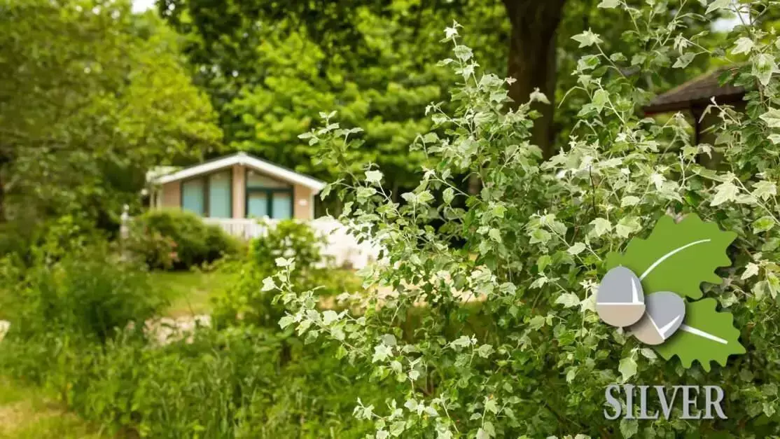 Domek letniskowy Lytton Lawn Touring Park - Shorefield